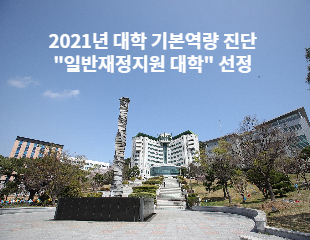 대학 기본역량 진단